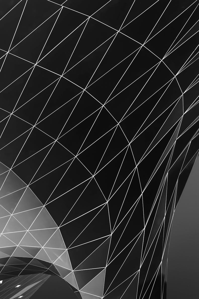 Black and white geometric pattern with intersecting lines in an abstract style.